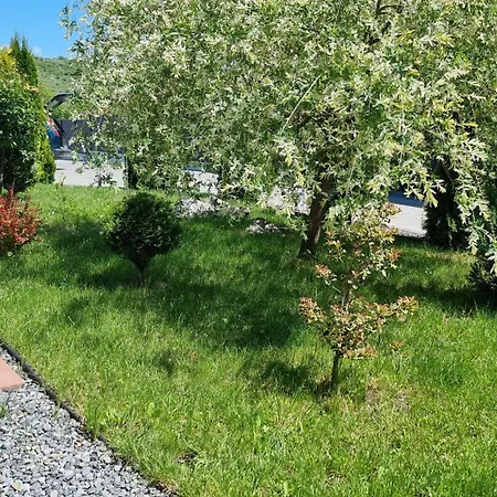Apartament Salt Orchid